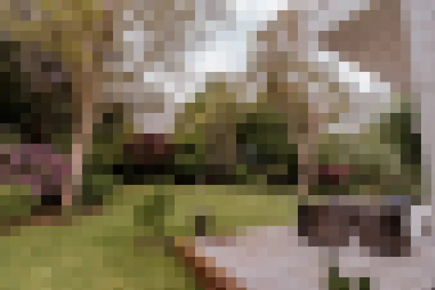 Op de Meuleberg 3 Roermond thumbnail 7