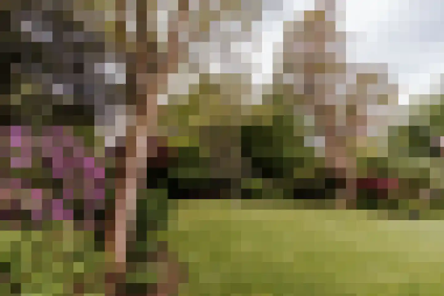 Op de Meuleberg 3 Roermond thumbnail 8