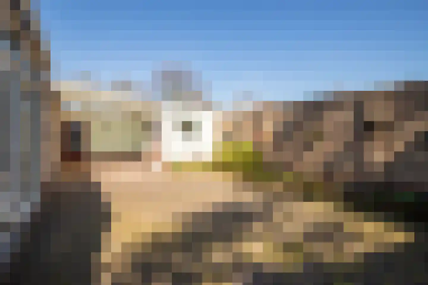 Op de Peelberg 15 Herten thumbnail 22