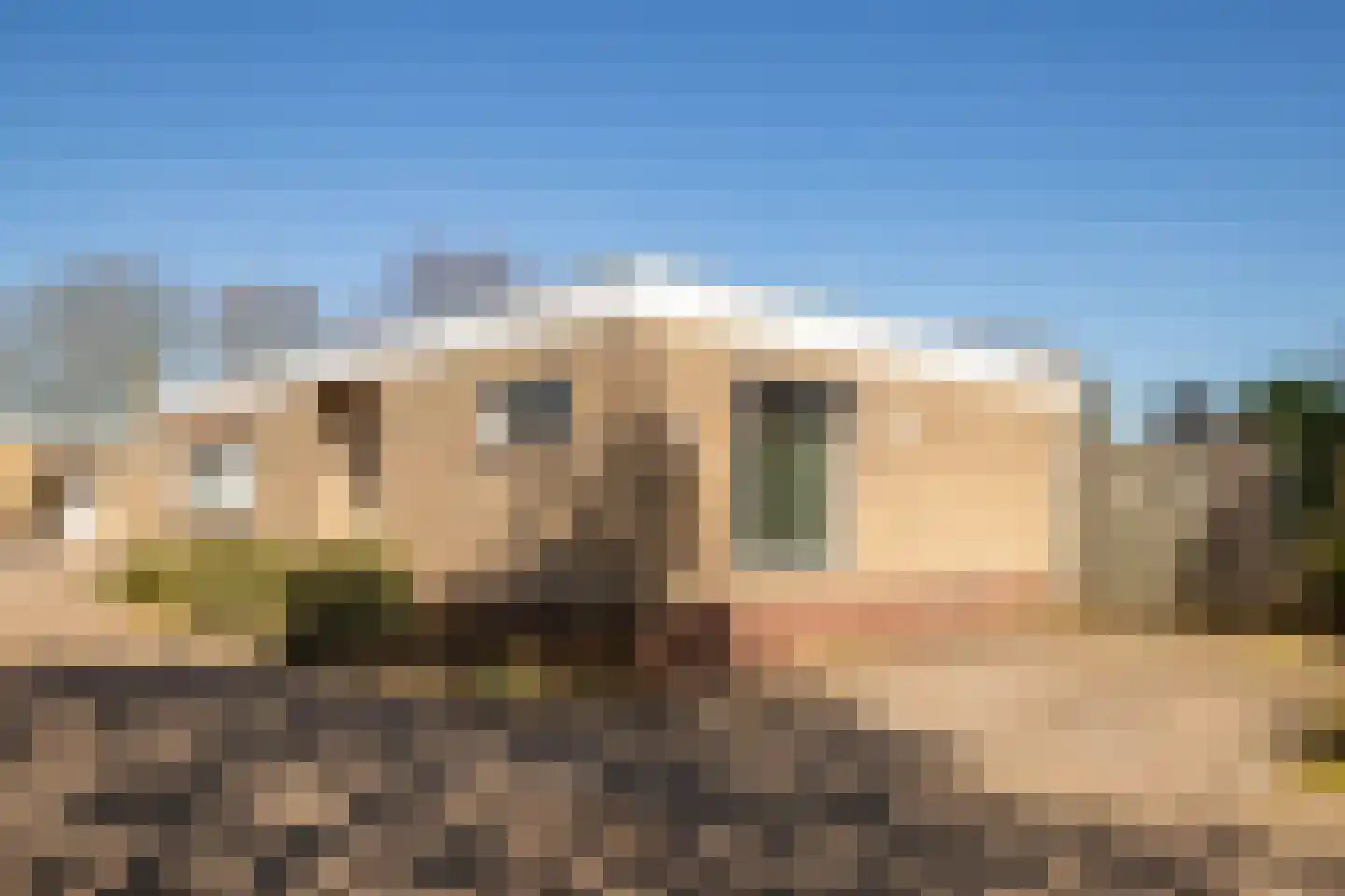 Op de Peelberg 15 Herten thumbnail 25
