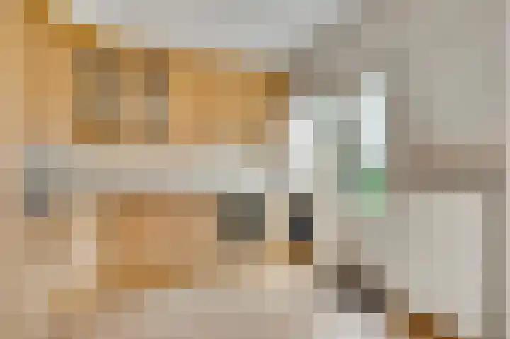 Op de Peelberg 23 Herten thumbnail 14