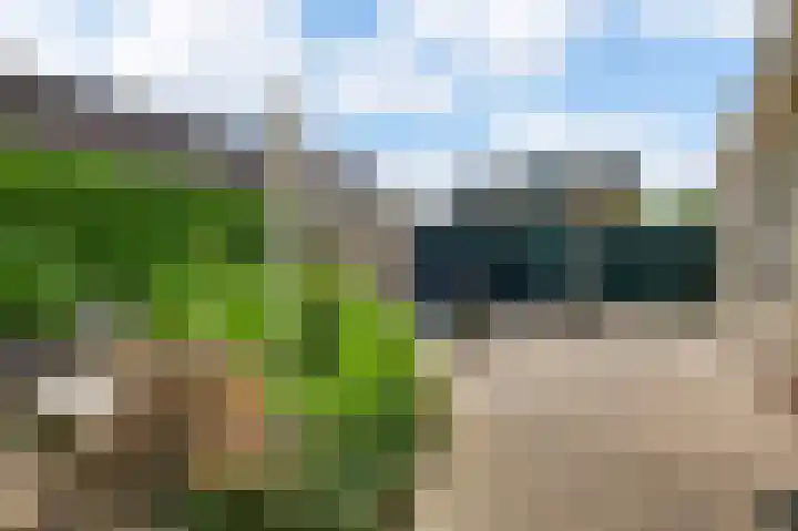 Op de Peelberg 23 Herten thumbnail 32