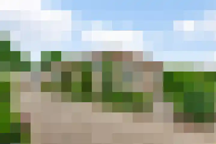 Op de Peelberg 23 Herten thumbnail 35