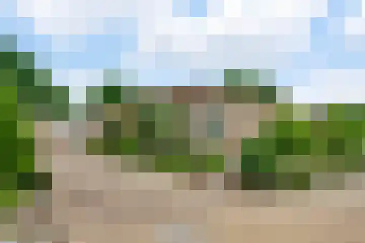 Op de Peelberg 23 Herten thumbnail 36