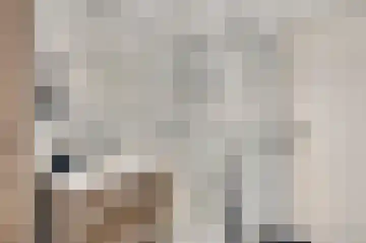 Op de Peelberg 23 Herten thumbnail 5