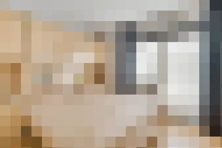 Op de Peelberg 23 Herten thumbnail 6