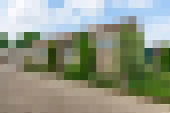 Op de Peelberg 23 Herten thumbnail 7