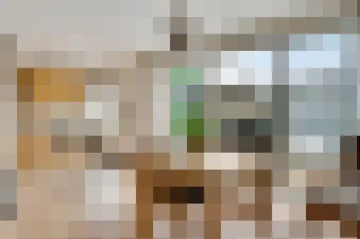 Op de Peelberg 23 Herten thumbnail 9