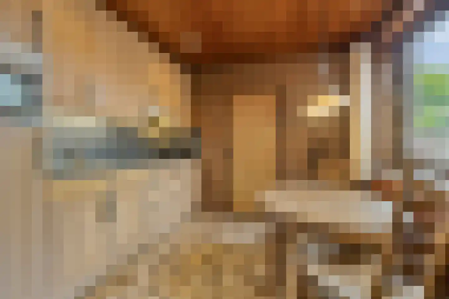 Op de Peelberg 8 Herten thumbnail 11