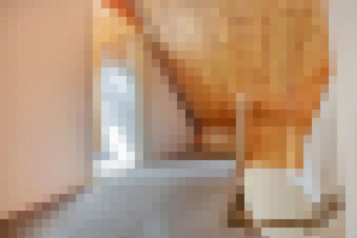 Op de Peelberg 8 Herten thumbnail 23