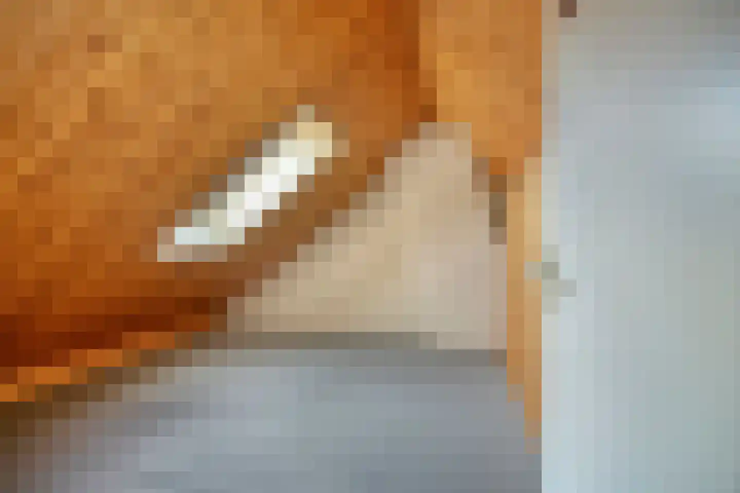 Op de Peelberg 8 Herten thumbnail 24