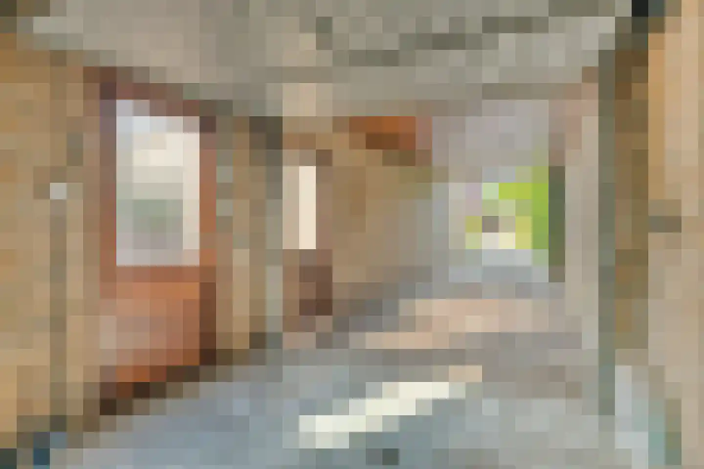 Op de Peelberg 8 Herten thumbnail 25