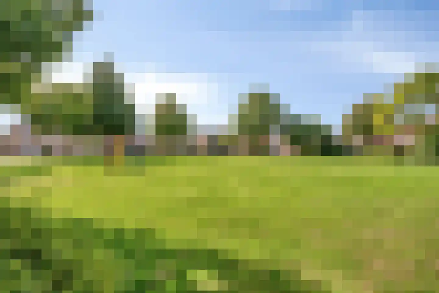 Op de Peelberg 8 Herten thumbnail 31