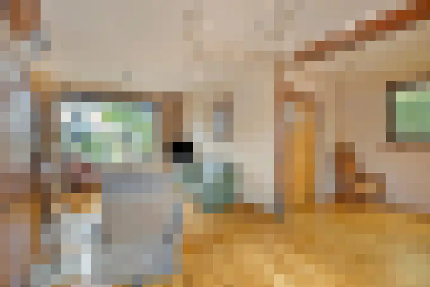 Op de Peelberg 8 Herten thumbnail 8