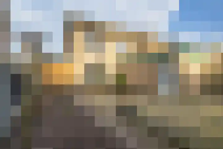 Op de Peperkamp 10 Wellerlooi thumbnail 36