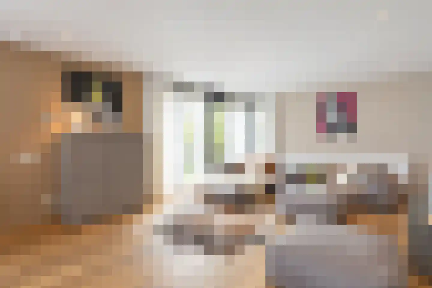 Op de Rijsecamp 14 Valkenburg thumbnail 17