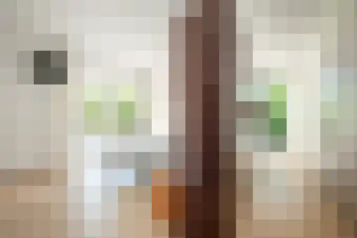 Op de Rooter 7 Susteren thumbnail 14