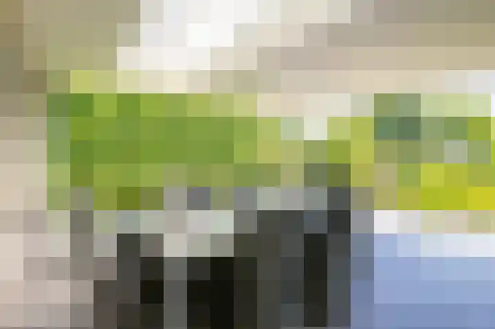 Op de Rooter 7 Susteren thumbnail 26