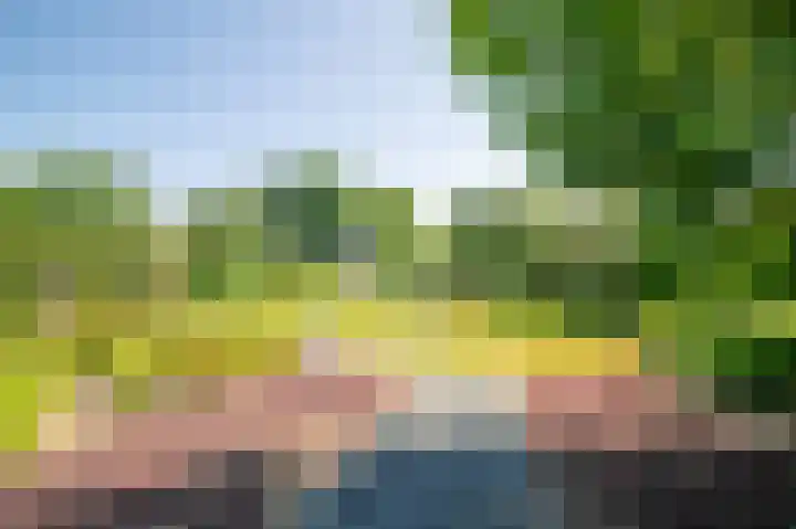 Op de Rooter 7 Susteren thumbnail 28