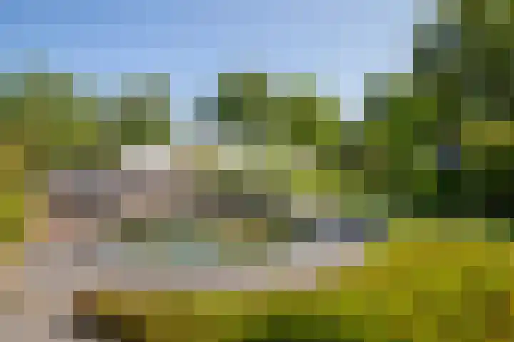 Op de Rooter 7 Susteren thumbnail 30