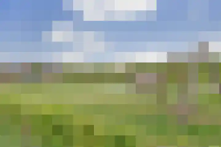 Op de set 148 Nijmegen thumbnail 34
