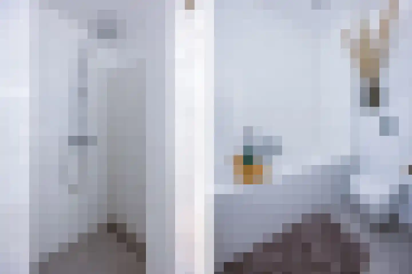 Op de set 18 Nijmegen thumbnail 33