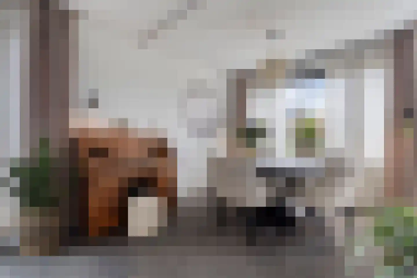Op de set 86 Nijmegen thumbnail 17