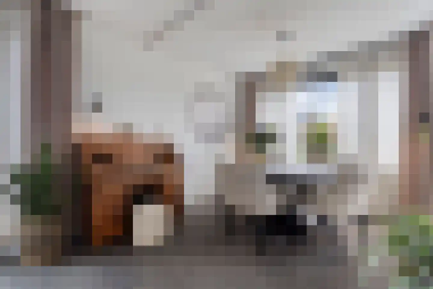 Op de set 86 Nijmegen thumbnail 18