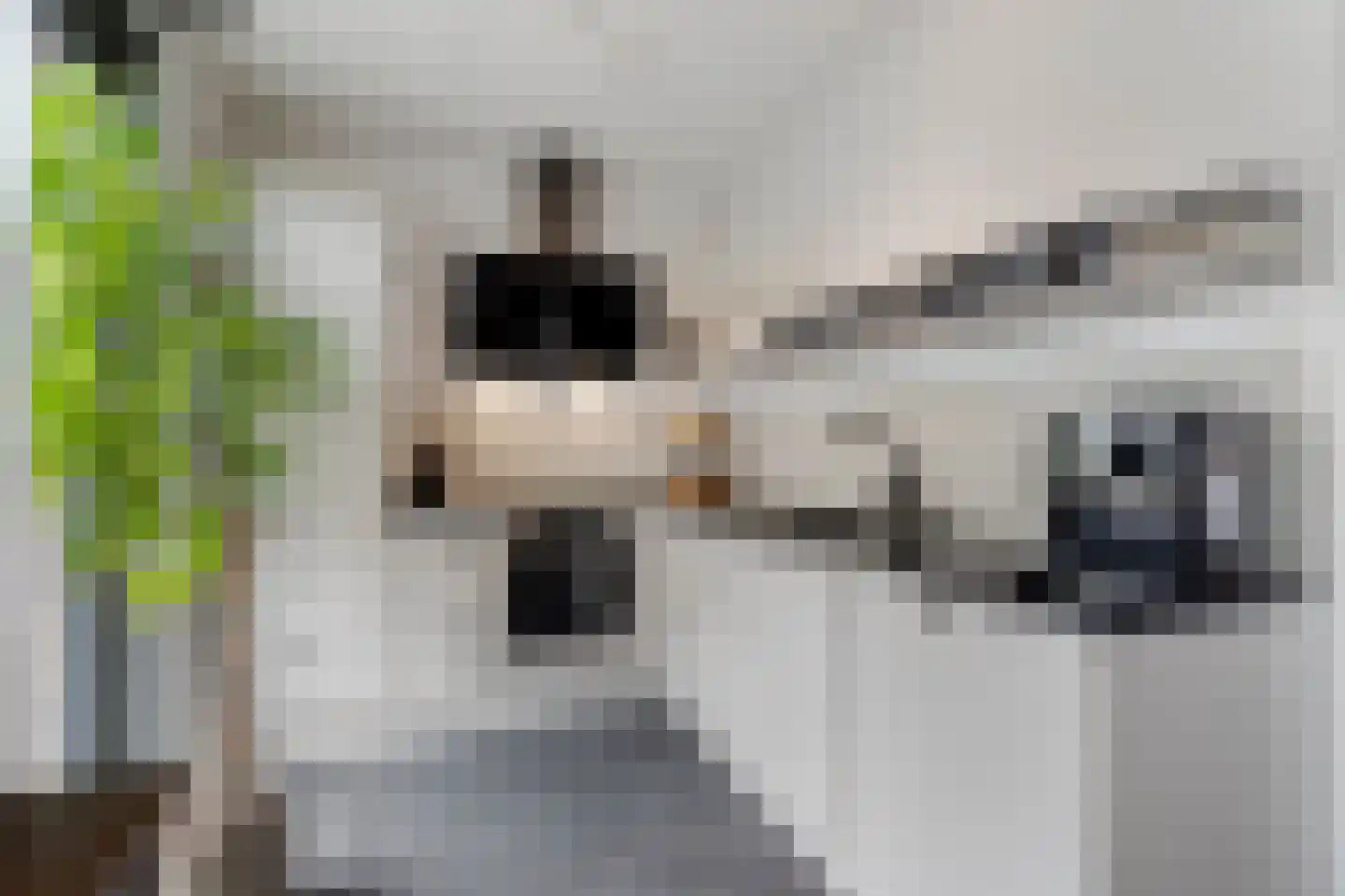 Op de set 86 Nijmegen thumbnail 23