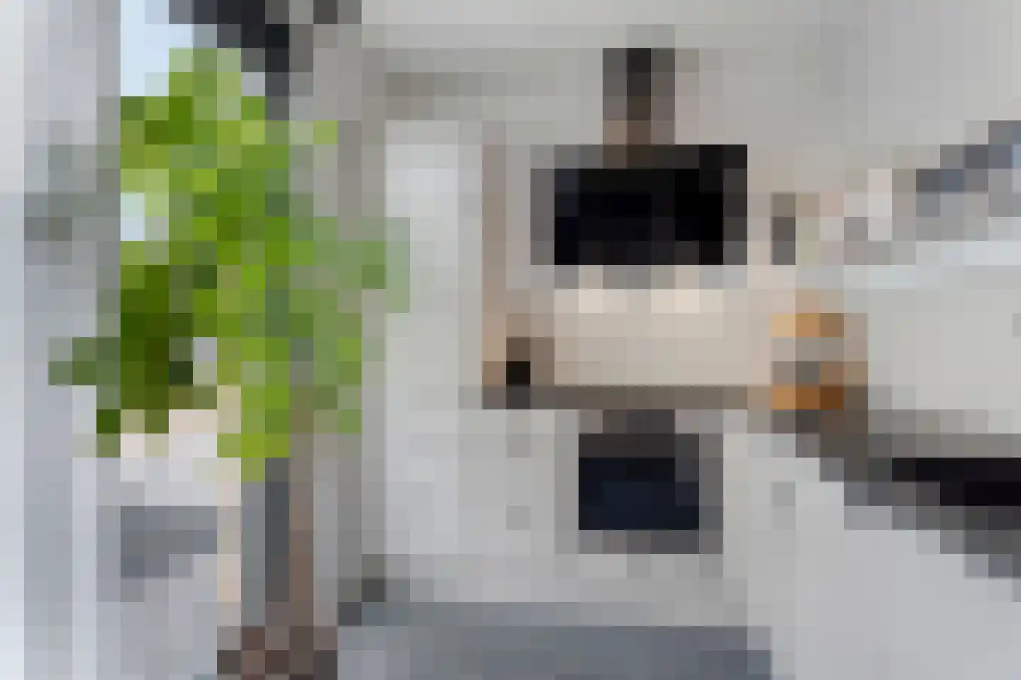 Op de set 86 Nijmegen thumbnail 24