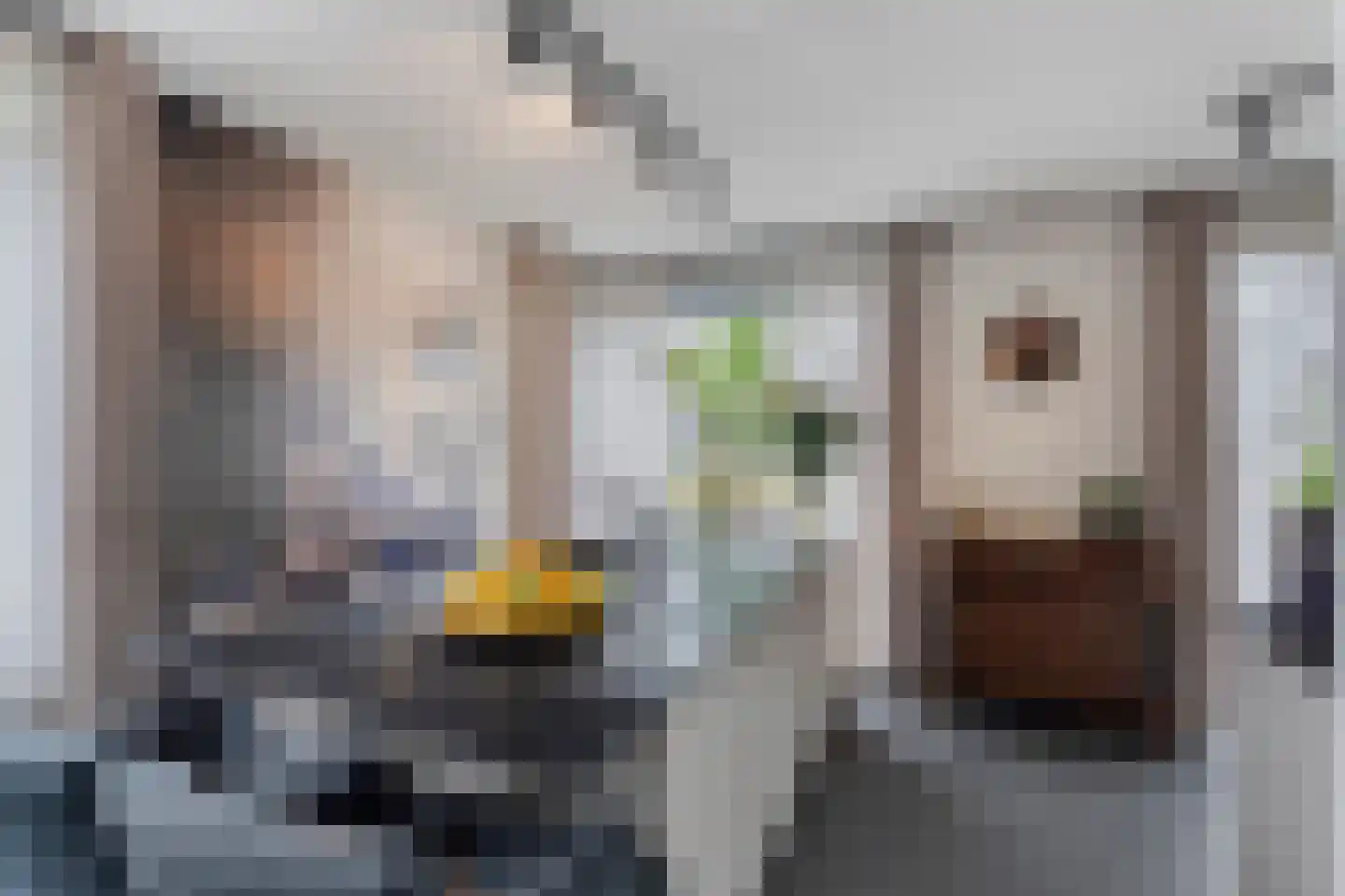 Op de set 86 Nijmegen thumbnail 25