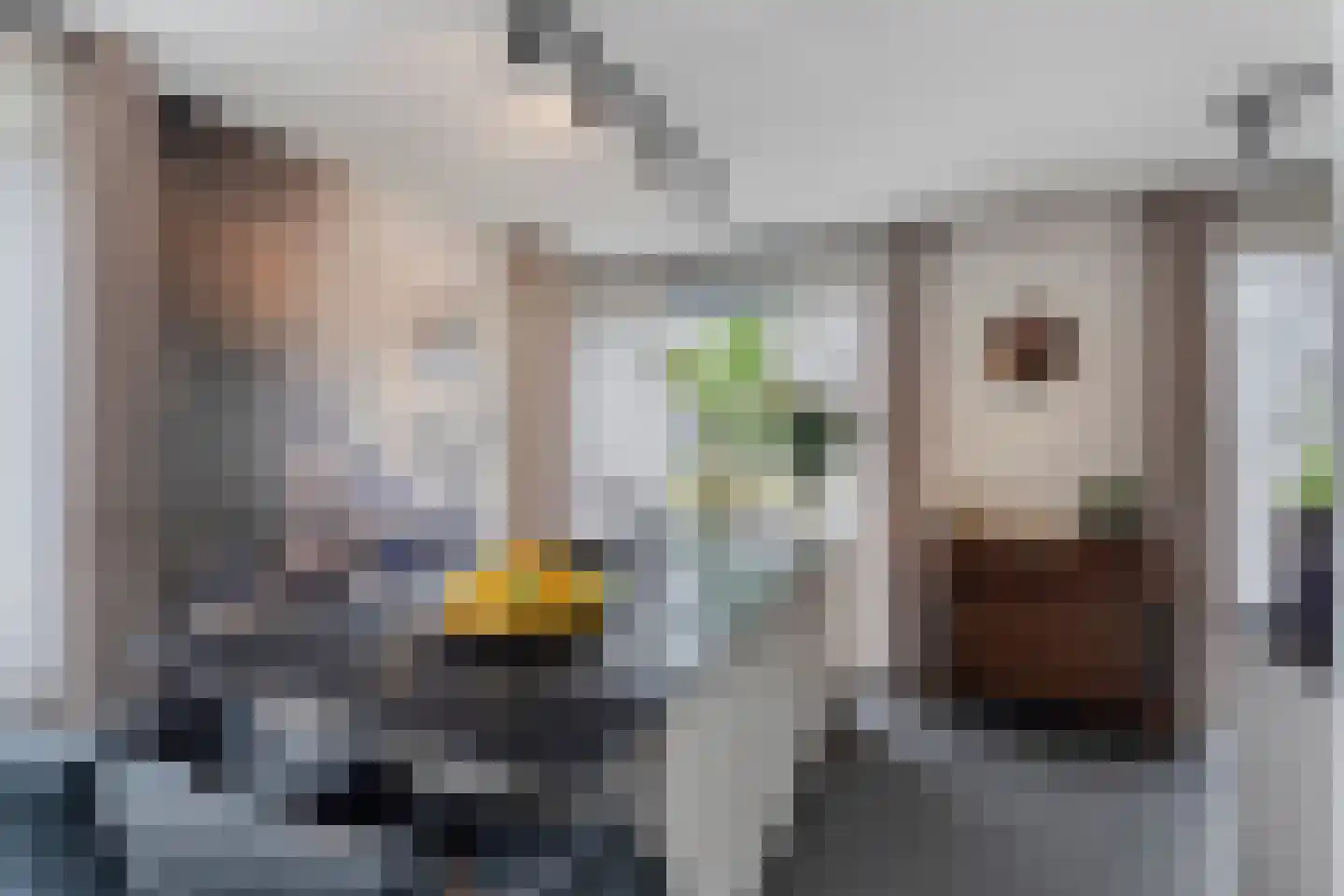 Op de set 86 Nijmegen thumbnail 26