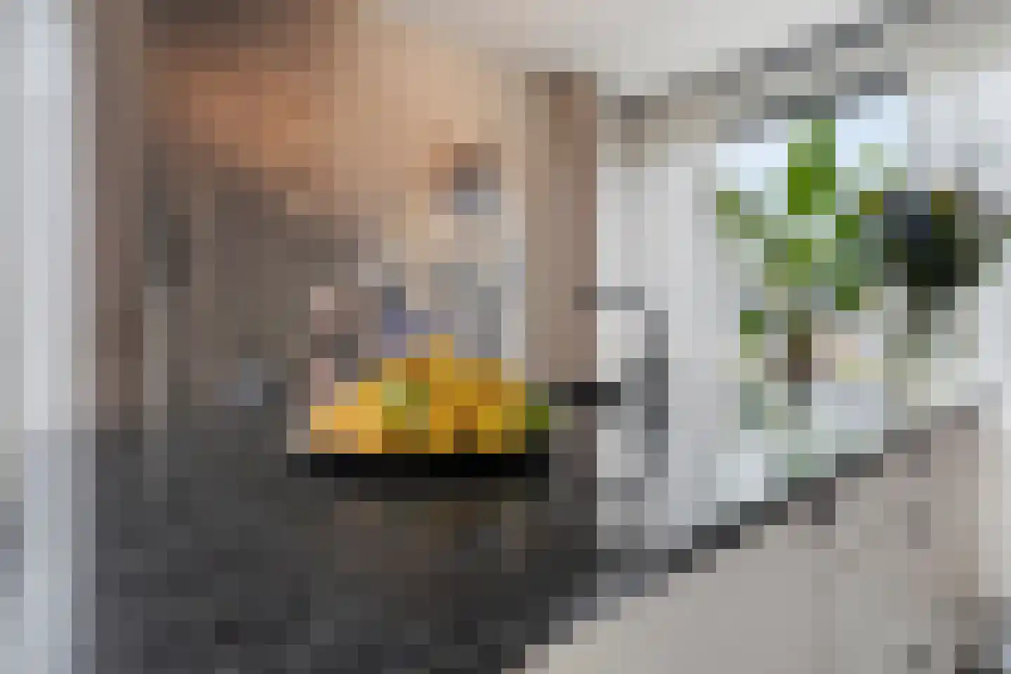 Op de set 86 Nijmegen thumbnail 27