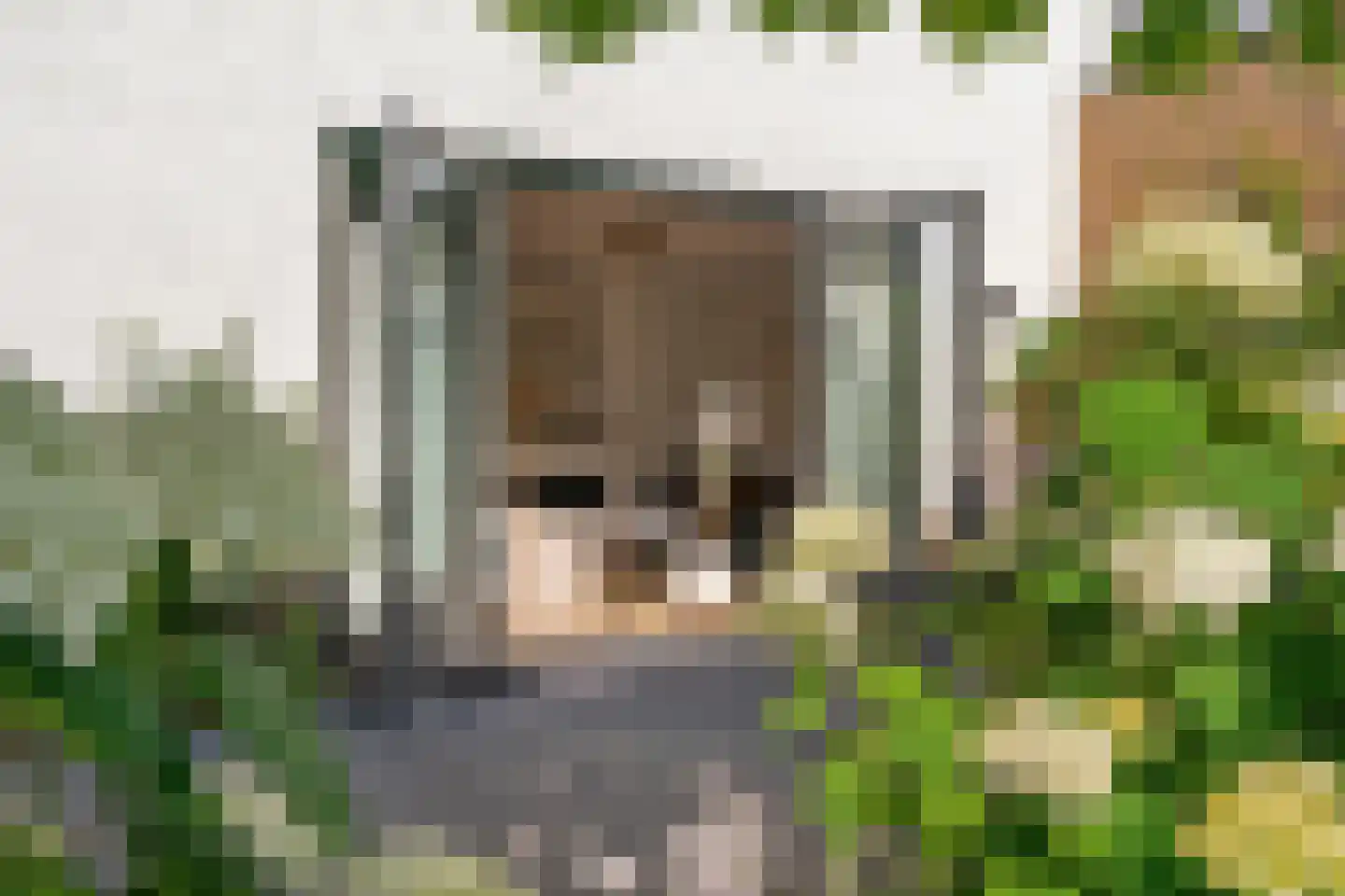 Op de set 86 Nijmegen thumbnail 58