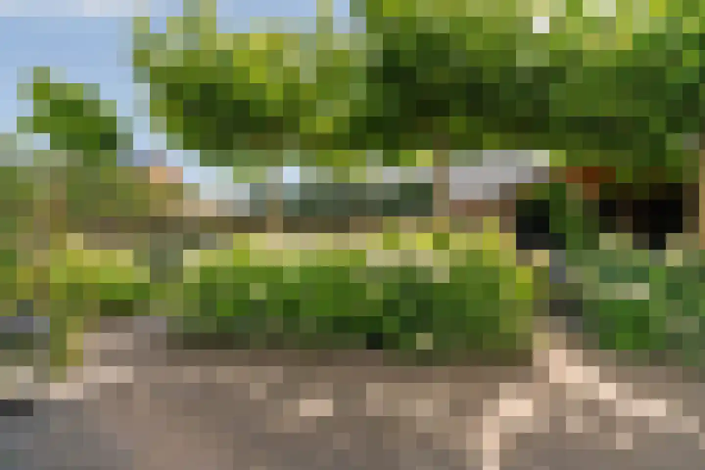 Op de set 86 Nijmegen thumbnail 67