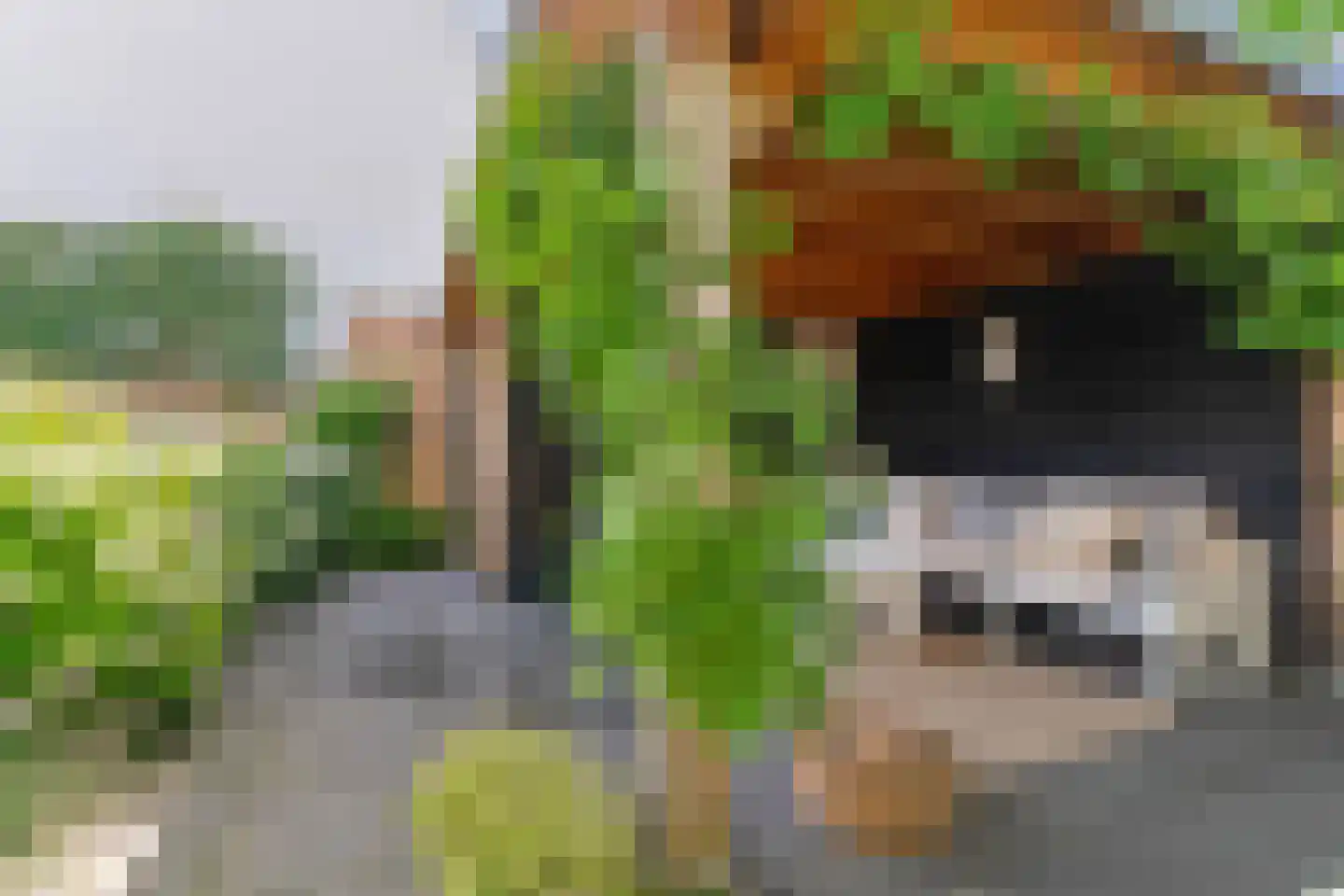 Op de set 86 Nijmegen thumbnail 71