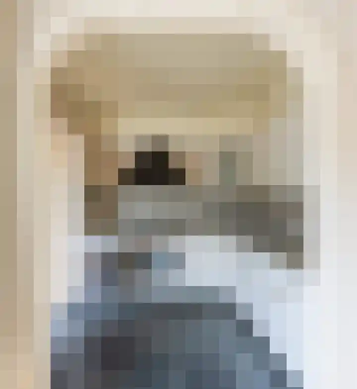 Op de Smelen 40 Blitterswijck thumbnail 11