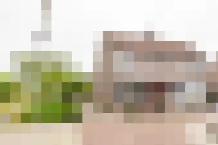 Op de Smelen 40 Blitterswijck thumbnail 23
