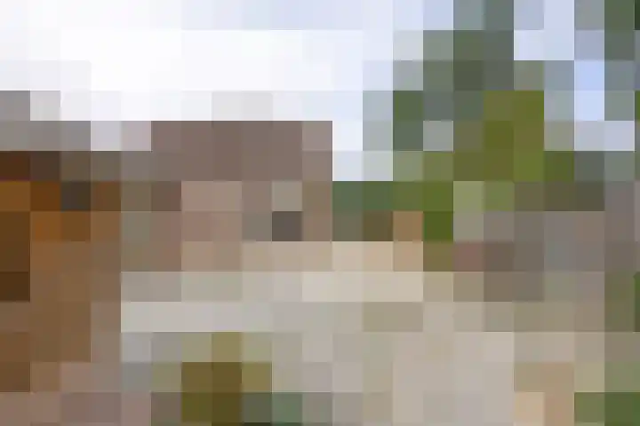 Op de Smelen 40 Blitterswijck thumbnail 24