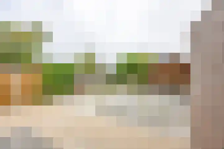 Op de Smelen 40 Blitterswijck thumbnail 25