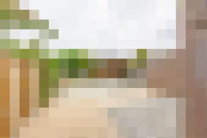 Op de Smelen 40 Blitterswijck thumbnail 26