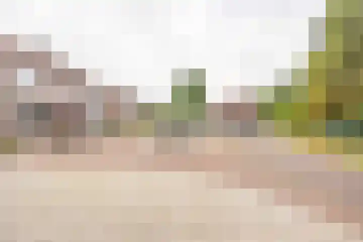Op de Smelen 40 Blitterswijck thumbnail 27