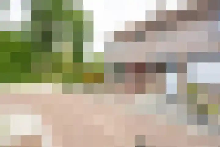 Op de Smelen 40 Blitterswijck thumbnail 28