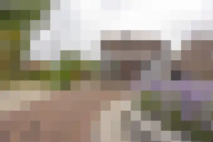 Op de Smelen 40 Blitterswijck thumbnail 29