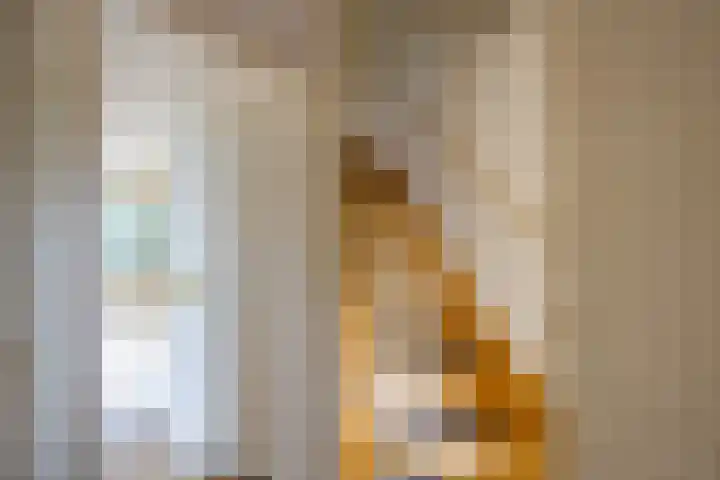 Op de Smelen 40 Blitterswijck thumbnail 7