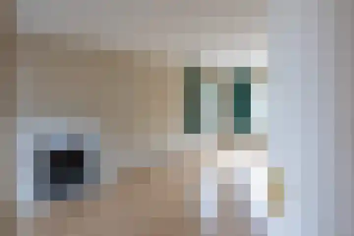 Op de Smelen 40 Blitterswijck thumbnail 8