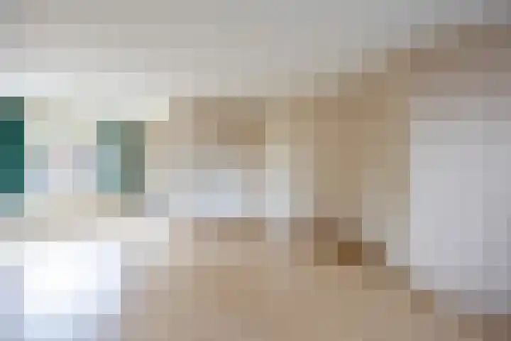 Op de Smelen 40 Blitterswijck thumbnail 9