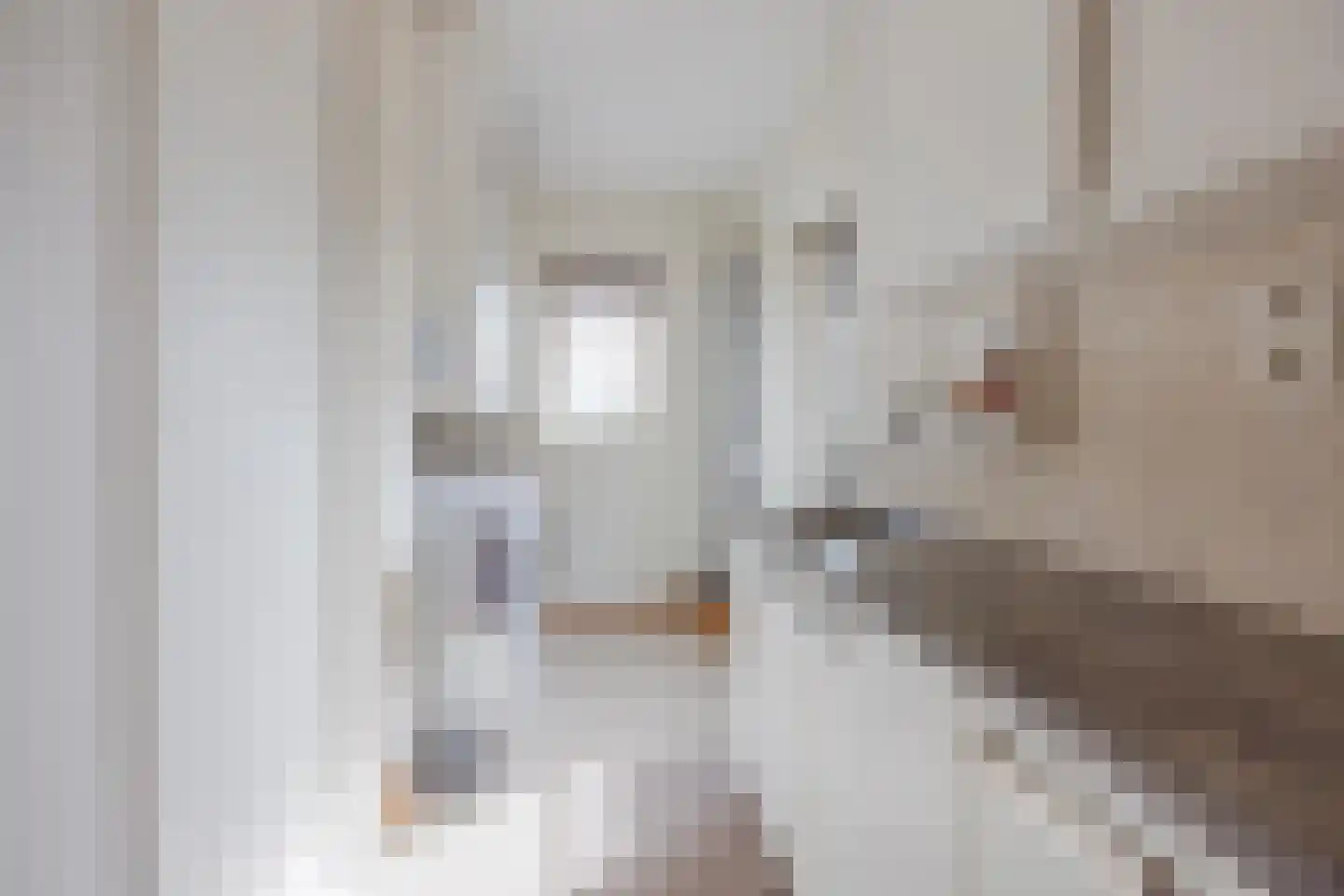 Op de Spekt 17 Broekhuizenvorst thumbnail 20