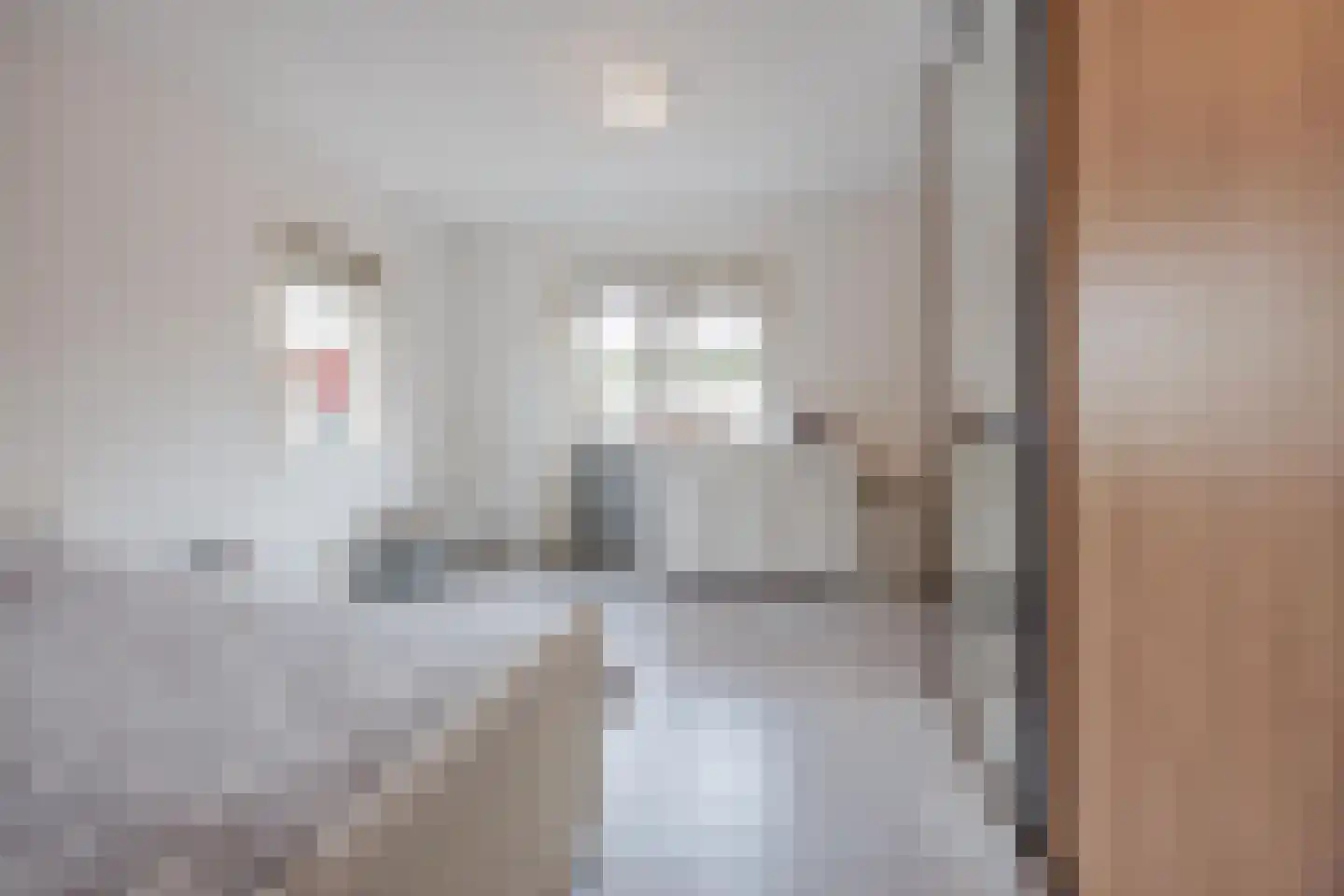 Op de Spekt 17 Broekhuizenvorst thumbnail 25