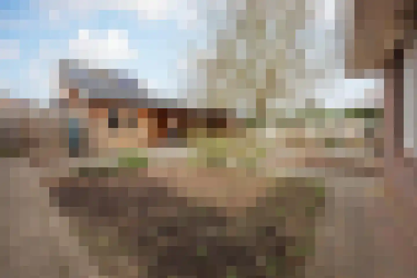 Op de Spekt 17 Broekhuizenvorst thumbnail 33
